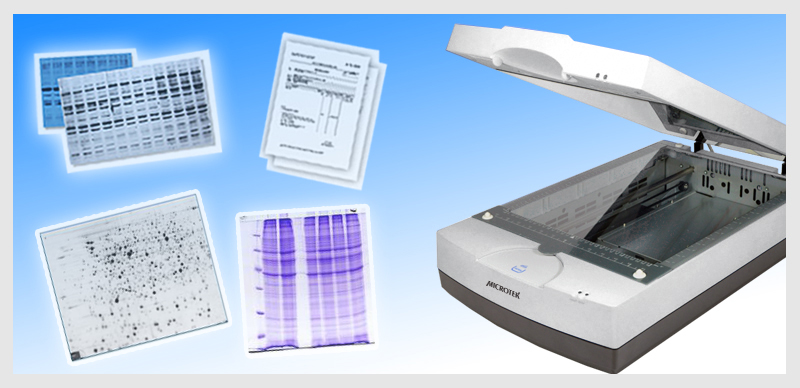 1692840195829998.jpg image001.jpg